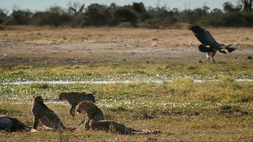 Savage Kingdom Season 3 Episode 2 - Reign of Terror