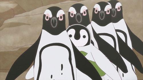 Welcome, Chitose-chan Season 1 Episode 10 - Episode 10