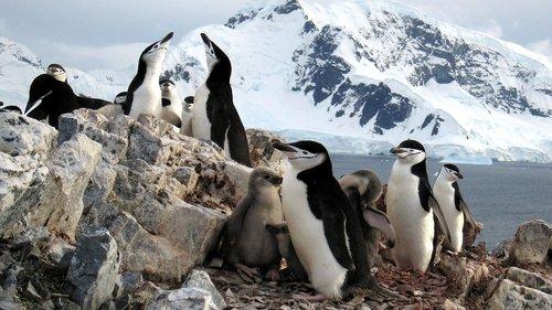 Planet Earth Season 1 Episode 6 - Ice Worlds