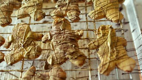 Matilda and the Ramsay Bunch Season 1 Episode 2 - The Movies