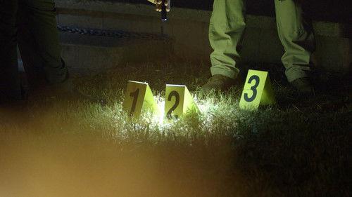 The First 48 Season 19 Episode 25 - Shooting Blind / Brothers in Arms