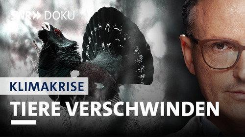 Axel Wagner & Die Klimakrise Season 1 Episode 1 - Episode 1