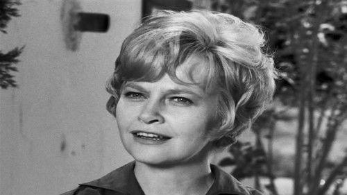 The Fugitive Season 3 Episode 15 - When the Wind Blows