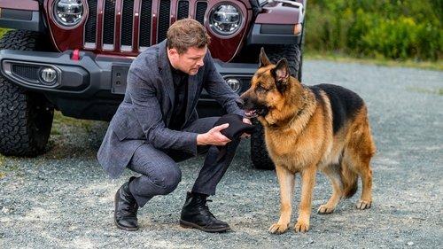 undefined Season 4 Episode 7 - A Stab in the Dark Web