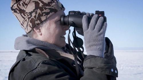 Life Below Zero Season 13 Episode 1 - Adapt Or Die