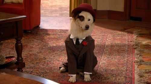 Dog with a Blog Season 2 Episode 9 - Avery B. Jealous