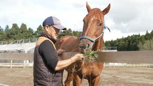 Hometown Stories Season 13 Episode 18 - A Ranch for Retired Racehorses