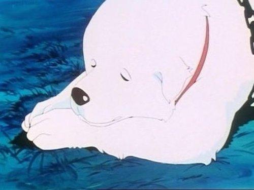 Belle and Sebastian Season 1 Episode 31 - Reunited At Last