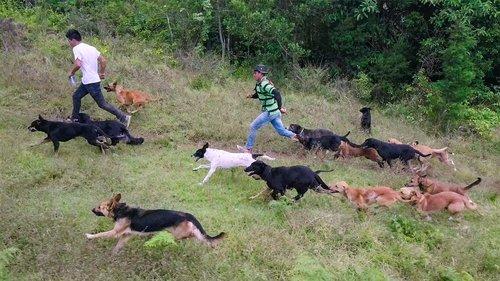 Dogs Season 1 Episode 5 - Territorio De Zaguates