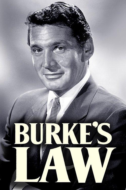 Burke's Law poster