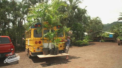 Willkommen bei den Reimanns Season 1 Episode 9 - Episode 9