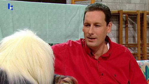 Samson & Gert Season 15 Episode 4 - Het verkeerslicht