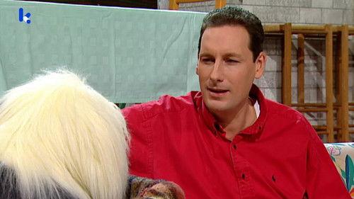 Samson & Gert Season 15 Episode 4 - Het verkeerslicht