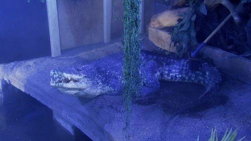 Akvariet Season 3 Episode 12 - Episode 12