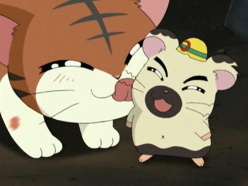 Hamtaro Season 1 Episode 31 - Boss is a Mom!