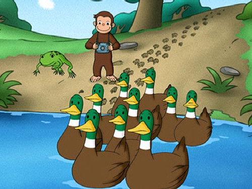 Curious George Season 3 Episode 22 - Animal Trackers