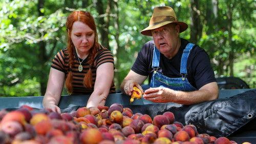 Moonshiners Season 15 Episode 8 - Kentucky Kingpin