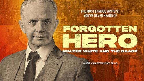 American Experience Season 37 Episode 1 - Forgotten Hero: Walter White and The NAACP
