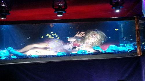 Tanked Season 3 Episode 21 - Crazy Client Requests