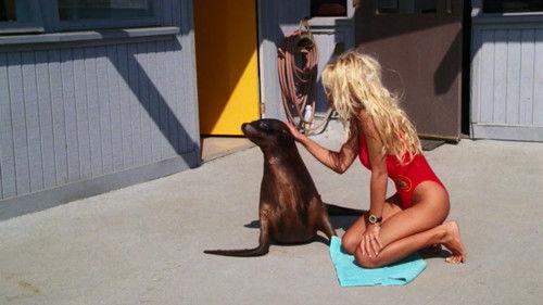 undefined Season 6 Episode 8 - Hit and Run