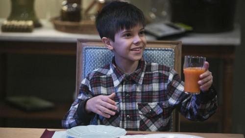 Inspetor Max Season 4 Episode 12 - Crime Gourmet