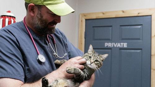 Heartland Docs, DVM Season 4 Episode 9 - Pro Bone-O Work