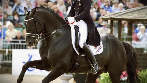 Totilas - The Million Dollar Business With The Horse of The Century Season 1 Episode 1 - Episode 1