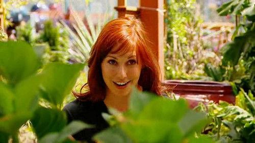 MythBusters Season 2 Episode 15 - Exploding House