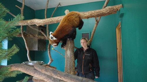 Dyrepasserne Season 12 Episode 11 - Episode 11