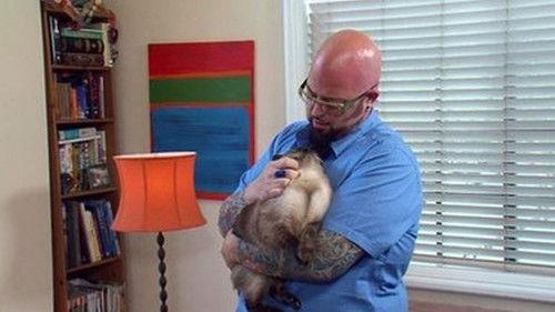 My Cat from Hell Season 1 Episode 1 - He Hates My Boyfriend