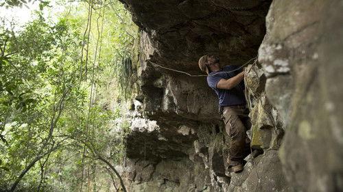 Treasure Quest: Snake Island Season 2 Episode 5 - Jaguars Gold