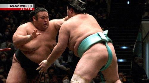 GRAND SUMO Highlights Season 15 Episode 11 - Day 11