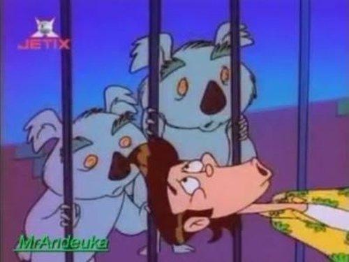 Ace Ventura: Pet Detective Season 1 Episode 6 - Natural Born Koalas