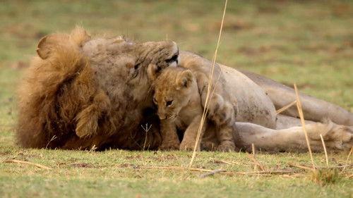 Africa's Hunters Season 1 Episode 3 - Bound By Blood