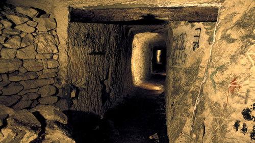 NOVA Season 43 Episode 10 - Secret Tunnel Warfare