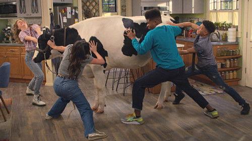 Side Hustle Season 2 Episode 6 - Stash the Cash