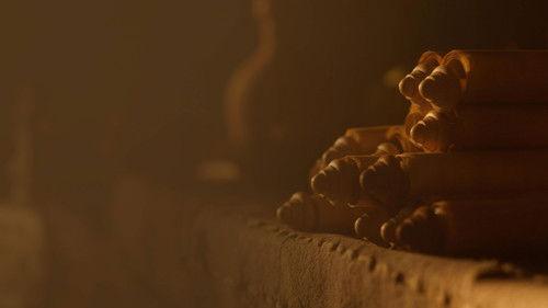 Secrets of the Dead Season 21 Episode 6 - The Herculaneum Scrolls