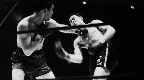 undefined Season 17 Episode 2 - The Fight