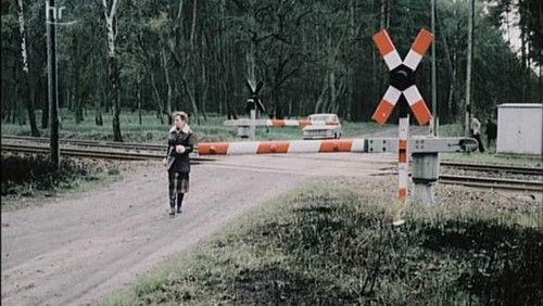 undefined Season 12 Episode 1 - Schranken