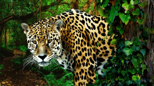 Dawn to Dusk Season 1 Episode 1 - Episode 1