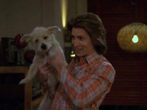 That '70s Show Season 8 Episode 20 - Leaving Home Ain't Easy