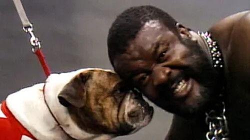 WWF Wrestling Challenge Season 1 Episode 16 - Wrestling Challenge - Dec. 20, 1986