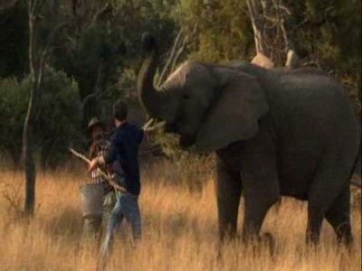 Wild at Heart Season 1 Episode 6 - Episode Six