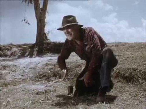 Flipper Season 2 Episode 18 - Flipper's Odyssey (3)