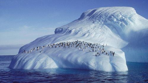 Nature Season 25 Episode 2 - Penguins of the Antarctic
