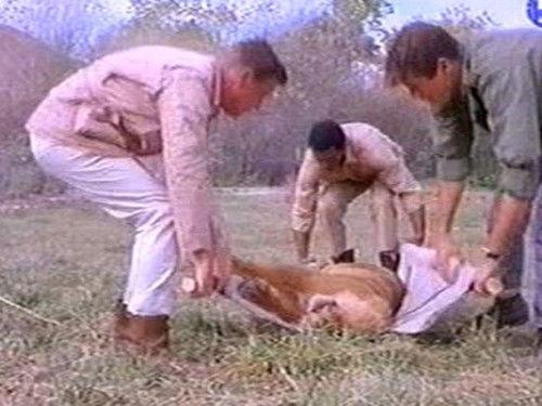 Daktari Season 1 Episode 6 - Leopard of Madla Gorge