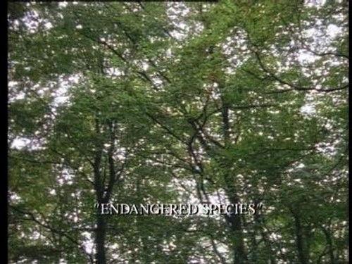 Pie in the Sky Season 1 Episode 10 - Endangered Species