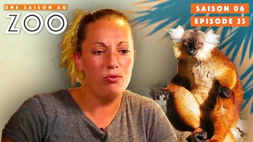 Une saison au zoo Season 6 Episode 23 - Episode 23