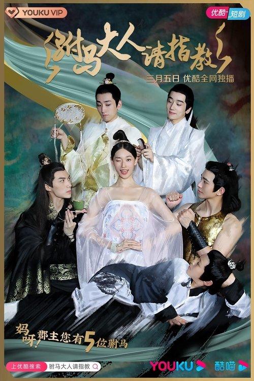 Princess! You have Five Husbands! poster