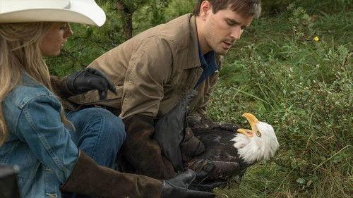 Heartland Season 9 Episode 6 - Over and Out